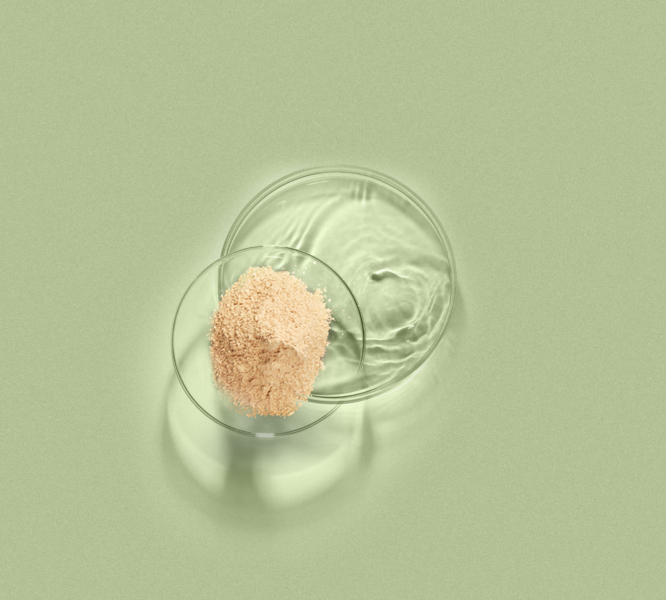 首页- 腾博官网诚信为本,专业服务!