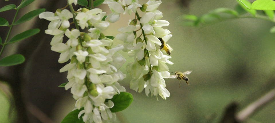 首页- 腾博官网诚信为本,专业服务!