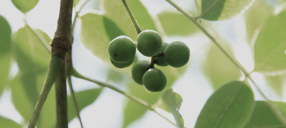 首页- 腾博官网诚信为本,专业服务!